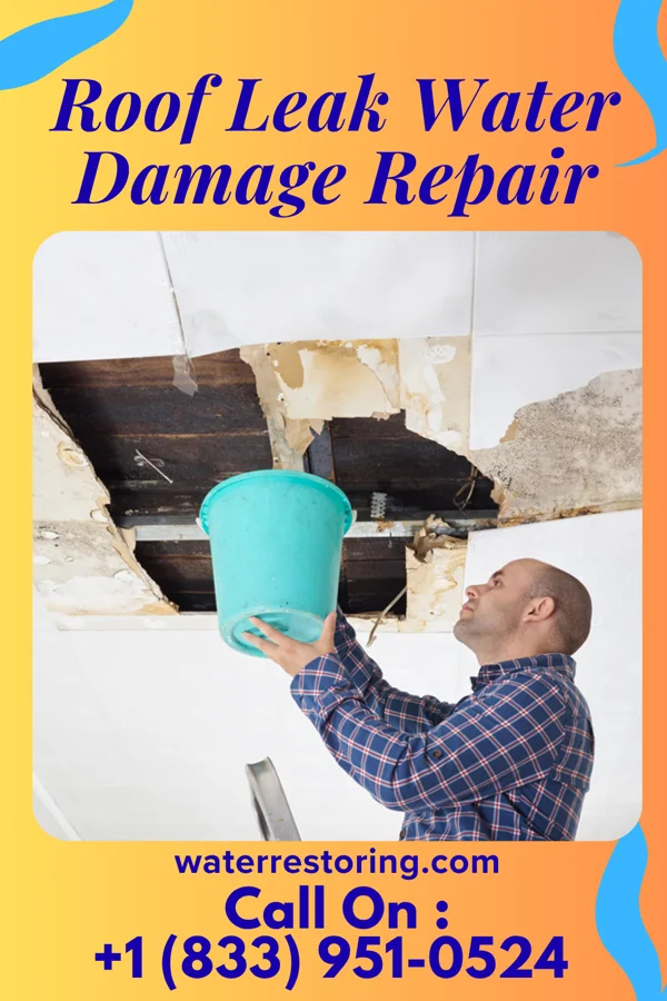 Roof Leak Water Damage Repair in Orange Lake, NY