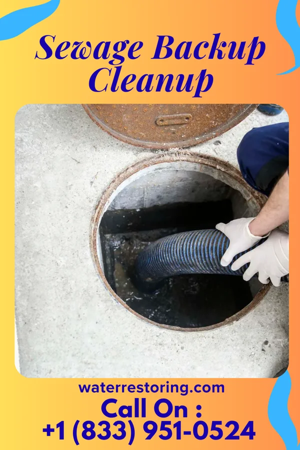 Sewage Backup Cleanup in Orange Lake, NY